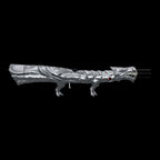 Interactive 3d model of the Silver Fang Dragons Breath FT.